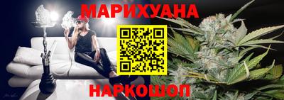 шишки Аргун