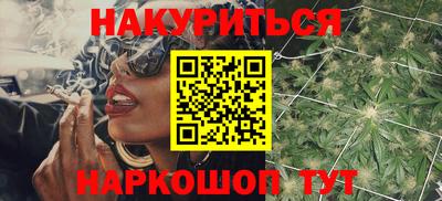 шишки Аргун